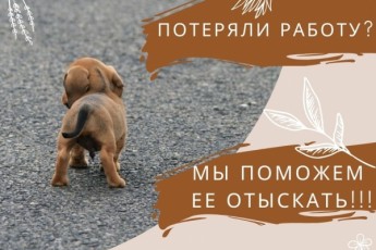 Вакансии в центре Израиля